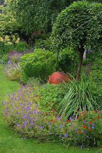 Biosphoto | 59400 | Massif de geranium vivace au Jardin de Plantbessin  | &copy; Frédéric Didillon / Biosphoto