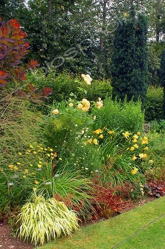 Biosphoto | 59424 | Massif de rose et graminée aux Jardins de Plantbessin | &copy; Frédéric Didillon / Biosphoto