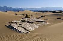 Biosphoto | 1249434 | Mesquite Sand Dune and Dried Mud Death Valley NP California | &copy; Daniel Heuclin / Biosphoto