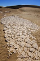 Biosphoto | 1249436 | Mesquite Sand Dune and Dried Mud Death Valley NP California | &copy; Daniel Heuclin / Biosphoto