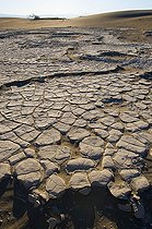Biosphoto | 1249437 | Mesquite Sand Dune and Dried Mud Death Valley NP California | &copy; Daniel Heuclin / Biosphoto