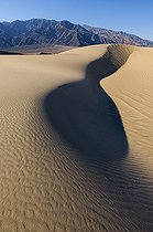 Biosphoto | 1249454 | Mesquite Sand Dune Death Valley California USA | &copy; Daniel Heuclin / Biosphoto