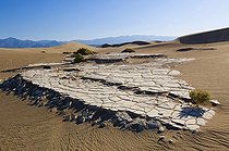 Biosphoto | 1249433 | Mesquite Sand Dune et boue séchée Vallée de la Mort USA | &copy; Daniel Heuclin / Biosphoto