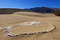 Biosphoto | 1249465 | Mesquite Sand Dune et boue séchée Vallée de la Mort USA | &copy; Daniel Heuclin / Biosphoto