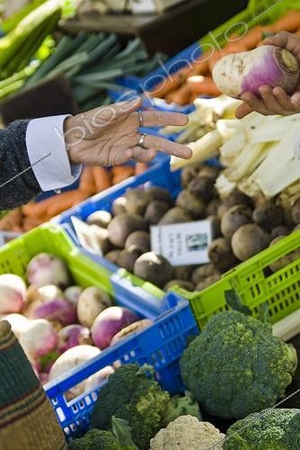 Biosphoto | 1127863 | Metal market in autumn Savoie France | &copy; Marc Chatelain / Biosphoto