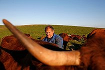 Biosphoto | 1481066 | Milking Salers cows in the mountains of Cantal Auvergne  | &copy; Lionel Astruc / Biosphoto