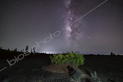 Biosphoto | 2624482 | Milky Way, on the slopes of Mount Teide in Tenerife, the green of the last vegetation contrasts with the black of the surrounding volcanic rock, Tenerife, Canary Islands, Spain. | &copy; Philippe Jacquot / Biosphoto
