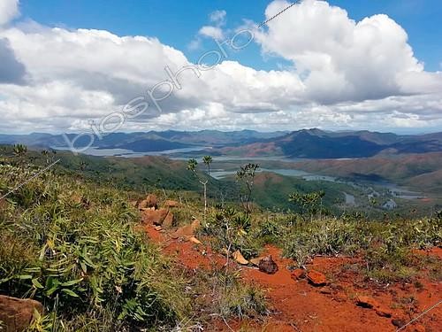 Biosphoto | 2551478 | Mining scrub and tropical forest, Blue River Park, New Caledonia | &copy; David Massemin / Biosphoto