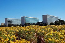 Biosphoto | 1606545 | Ministries behind yellow flowers in Brasilia, Brazil | © Florian Kopp / imageBROKER / Biosphoto