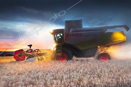 Biosphoto | 2576276 | Moisson d'une parcelle de blé de nuit aux phares avec une moissonneuse lexion 750 claas avant l'orage, Risque de perte, France | &copy; Claudius Thiriet / Biosphoto