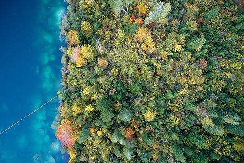 Biosphoto | 2480217 | Montane forest at lake side in colorful fall foliage seen from bird's eye perspective, Flims, Switzerland | &copy; Fabian Fopp / BIA / Biosphoto