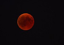 Biosphoto | 2403498 | Moon eclipse of July 27, 2018, Regional Natural Park of Vosges du Nord, France | &copy; Michel Rauch / Biosphoto