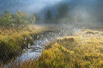 Biosphoto | 1247164 | Morning fog on Lake Grand Maclu Jura France | &copy; Michel Loup / Biosphoto