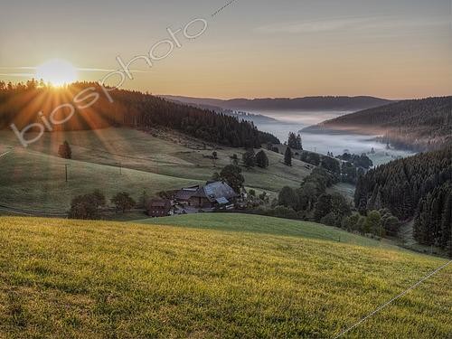 Biosphoto | 2459699 | Morning idyll in the Upper Black Forest, sunrise over the Schildwende, fog in the valley, farm, Schildwende, side valley of the Jostal, Titisee - Neustadt Upper Black Forest, Black Forest, Baden-Württemberg, Germany, Europe | &copy; Konrad Lenz / imageBROKER / Biosphoto