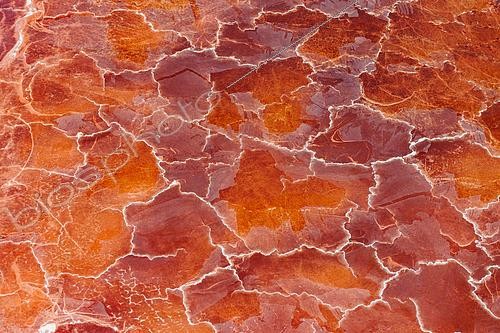 Biosphoto | 2580104 | Motifs à la surface du Lac Magadi, Lac de soude hypersalin, formations minérales parfois générées par des microorganismes, présence en grande quantité de carbonate de soude, Kenya | &copy; Sylvain Cordier / Biosphoto