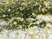 Biosphoto | 2609299 | Motifs abstraits dans les eaux peu profondes d'un étang salé dans les marais de la réserve naturelle de Bahía de Cádiz. Vue aérienne. Prise de vue par drone. Province de Cadix, Andalousie, Espagne. | &copy; Thomas Dressler / Biosphoto