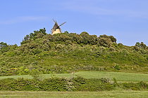 Biosphoto | 2609623 | Moulin à vent de Saint-Michel-l'Observatoire, Alpes-de-Haute-Provence, France, | &copy; Dominique Delfino / Biosphoto