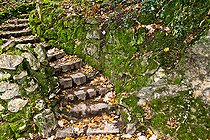 Biosphoto | 2575199 | Mousse sur muret de pierres et feuilles mortes sur un escalier de pierres, Sarthe, France | &copy; Michel Gile / Biosphoto