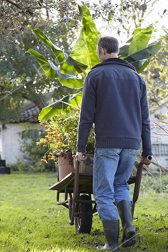 Biosphoto | 2428603 | Moving plants | &copy; VisionsPictures & Photography / Visions Pictures / Biosphoto