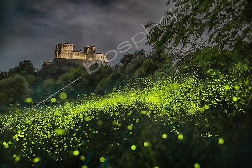 Biosphoto | 2565393 | Multitude de Lucioles devant le château de Torrechiara, Parme, Italie | &copy; Alberto Ghizzi Panizza / Biosphoto
