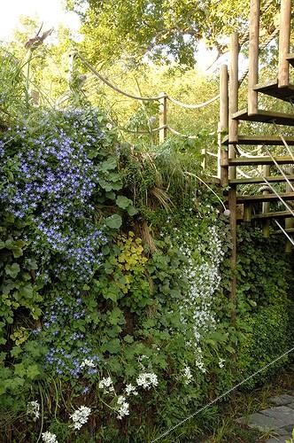 Biosphoto | 853829 | Mur végétal | &copy; Alexandre Petzold / Biosphoto