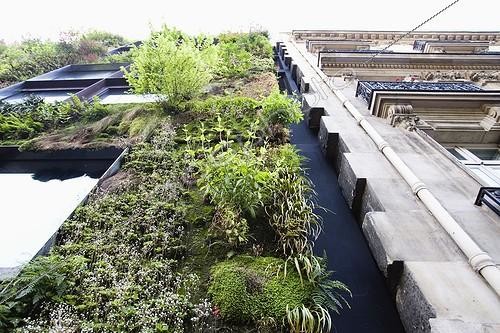 Biosphoto | 427941 | Mur végétal au Musee des Arts Premiers Paris France ; Localité : Quai Branly. Réalisation de Patrick Blanc. Architecture de Jean Nouvel. | &copy; Claudius Thiriet / Biosphoto