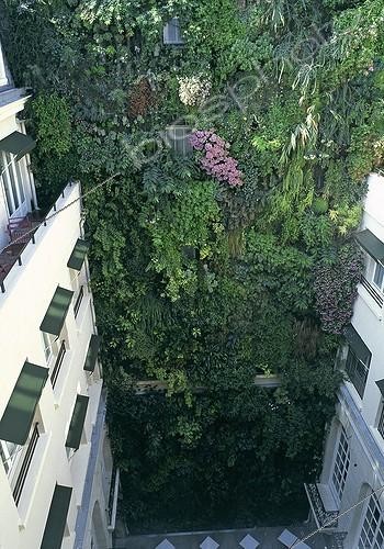 Biosphoto | 997382 | Mur végétal au restaurant Pershing Hall à Paris France ; Création : Patrick Blanc | &copy; Gilles Le Scanff & Joëlle-Caroline Mayer / Biosphoto