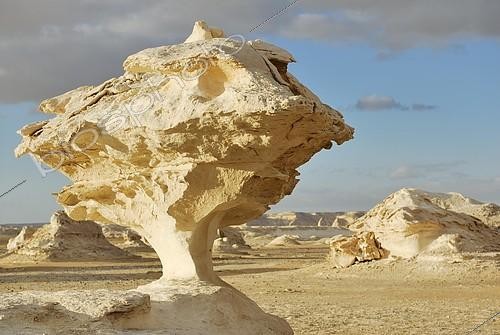 Biosphoto | 2093801 | Mushroom-shaped limestone rock formation, White Desert, Farafra Oasis, Libyan Desert, also known as Western Desert, Sahara, Egypt, Africa | &copy; Stefan Espenhahn / imageBROKER / Biosphoto