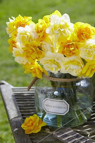 Biosphoto | 2119061 | Narcissus Le Torch, Lingerie | &copy; Visions Pictures / Biosphoto