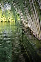 Biosphoto | 2488470 | Natural swimming pool, regeneration area with water plants, France | &copy; Marie Aymerez / Biosphoto