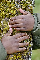 Biosphoto | 2609576 | Nature discovery in primary school - Children's hands embracing a moss-covered trunk - France | &copy; Dominique Delfino / Biosphoto