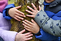 Biosphoto | 2609580 | Nature discovery in primary school - Children's hands embracing a moss-covered trunk - France | &copy; Dominique Delfino / Biosphoto