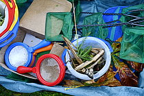 Biosphoto | 2609581 | Nature discovery in primary schools - Discovering the life of a pond - bucket, landing net, magnifying box - France | &copy; Dominique Delfino / Biosphoto