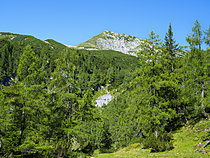 Biosphoto | 2621572 | Nature reserve Warscheneck in the Totes Gebirge (Dead Mountains). Europe, Central Europe, Austria, Upper Austria, summer | &copy; Martin Zwick / Biosphoto