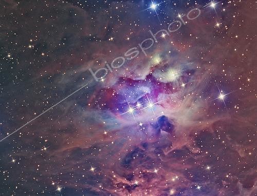 Biosphoto | 2484109 | NGC 1973, The Running Man Nebula. This image captured with a telescope and a scientific CCD camera | © Reinhold Wittich / Stocktrek Images / Biosphoto