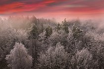 Biosphoto | 2496019 | Northern Vosges frosted forest, Northern Vosges Regional Nature Park, France | &copy; Michel Rauch / Biosphoto