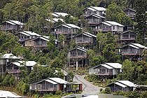 Biosphoto | 1603485 | O'Reilly's Rainforest Retreat, Lamington National Park, Queensland, Australia | © Jspix / imageBROKER / Biosphoto