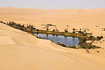 Biosphoto | 2093883 | Oasis Um el Ma Mandara embedded in sanddunes, Libyan Desert, Sahara, Libya, Africa | &copy; Stefan Auth / imageBROKER / Biosphoto