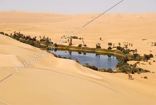 Biosphoto | 2093883 | Oasis Um el Ma Mandara embedded in sanddunes, Libyan Desert, Sahara, Libya, Africa | &copy; Stefan Auth / imageBROKER / Biosphoto