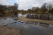 Biosphoto | 1251024 | Observation benches WWT Slimbridge Reserve UK | &copy; Michel Gunther / Biosphoto