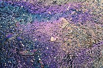 Biosphoto | 1454129 | Oil spilt on the ground | &copy; Oliver Brandt / imageBROKER / Biosphoto
