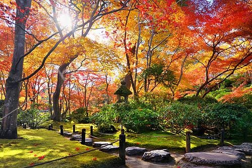 Biosphoto | 2284972 | okochi'sanso path, Japan | &copy; Vincent Marion / Biosphoto