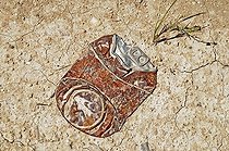 Biosphoto | 1495983 | Old can, tin can, squashed, flattened by traffic, rusty, B-road, dusty, earth | &copy; Barbara Boensch / imageBROKER / Biosphoto