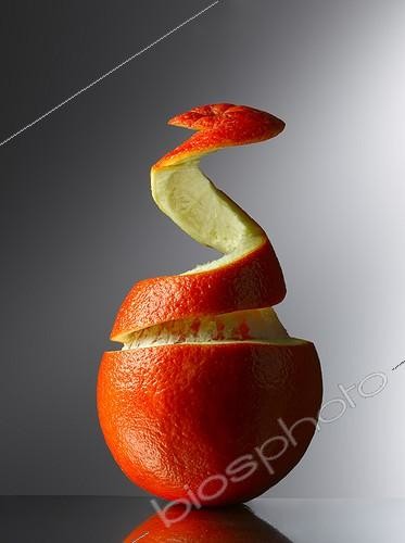 Biosphoto | 1611201 | Orange in the studio  | &copy; Philippe-Alexandre Chevallier / Biosphoto