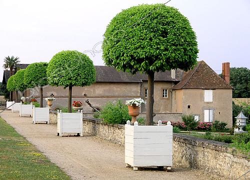 Biosphoto | 2126268 | Orange trees in pot - Jardins du Château de Digoine, Palinges | &copy; Lamontagne / Biosphoto