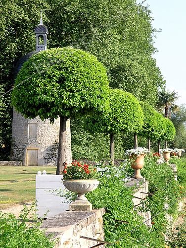 Biosphoto | 2126263 | Orangers en pot - Jardins du Château de Digoine, Palinges | &copy; Lamontagne / Biosphoto