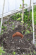 Biosphoto | 2452919 | Oya: Porous terracotta watering pot in a garden, summer, Vosges, France | &copy; Yann Avril / Biosphoto
