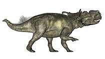 Biosphoto | 2476328 | Pachyrhinosaurus dinosaur walking, isolated on white background. | &copy; Elena Duvernay / Stocktrek Images / Biosphoto