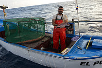 Biosphoto | 2609496 | Pagre commun (Pagrus pagrus) fraîchement capturé dans un casier à crevettes. La pêche à la crevette (Plesionika narval) est une activité artisanale pratiquée à partir de petits bateaux. On utilise des nasses (pièges) qui sont placées sur le fond marin à des profondeurs comprises entre 50 et 150 mètres, et qui permettent également de capturer quelques poissons. Elle est pratiquée toute l'année, bien que les prises soient plus abondantes en été. La production est principalement destinée à la consommation locale. Navire : El Puma. Pêcheur : Ayoze Rodríguez (modèle relâché). Guilde des pêcheurs de San Marcos à Icod de los Vinos, Tenerife. Îles Canaries. | &copy; Sergio Hanquet / Biosphoto