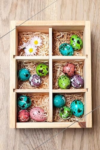 Biosphoto | 2011924 | Painted quail eggs in a box | &copy; Yann Avril / Biosphoto